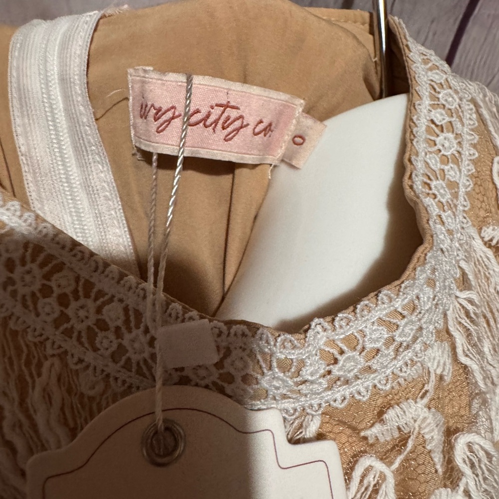 Ivy City Co Cream Floral Lace Dress XS - 0 - Picture 11 of 13